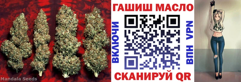ТГК вейп с тгк  Купить закладки  Отрадный 